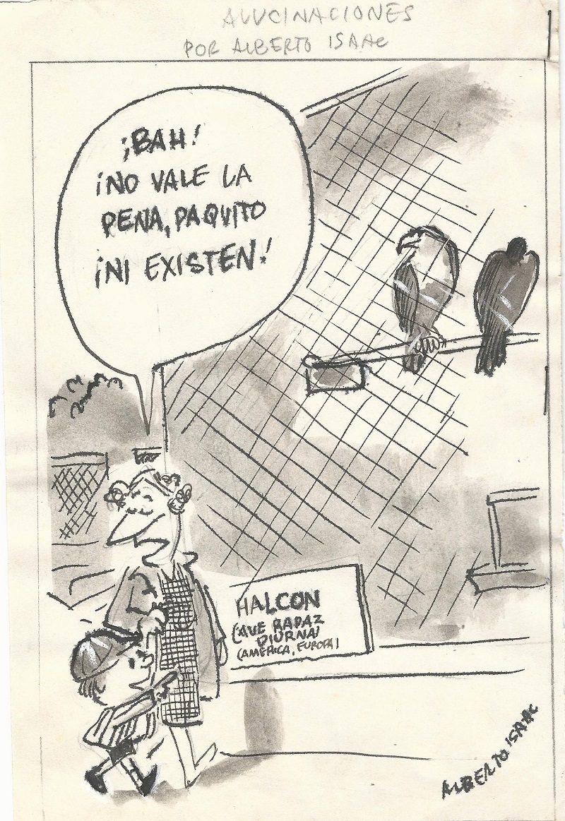 338 Alucinaciones 14 ago 71