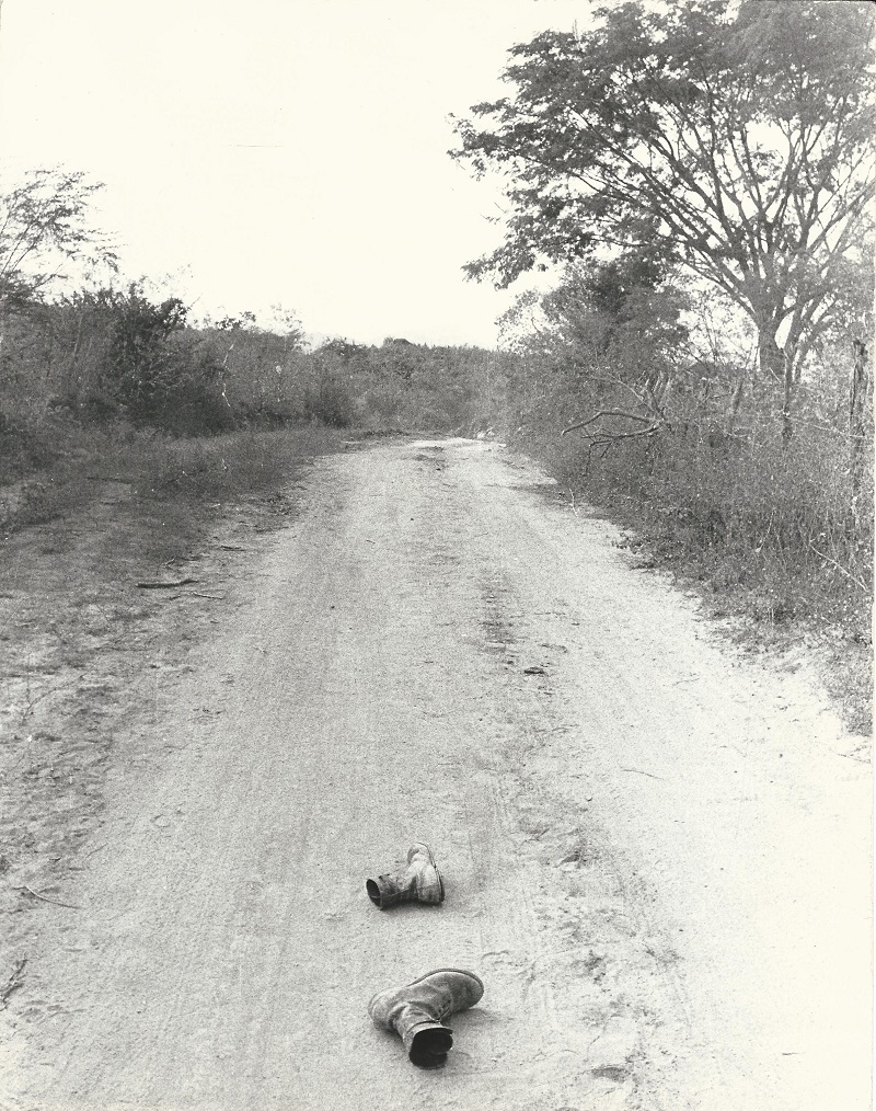 392 Sierra de Atoyac resguardaron Cabañas y Vázquez