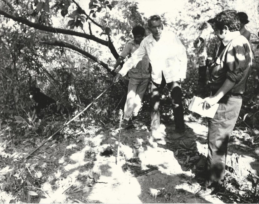 394 Identificación aspectos guerrilla 1972