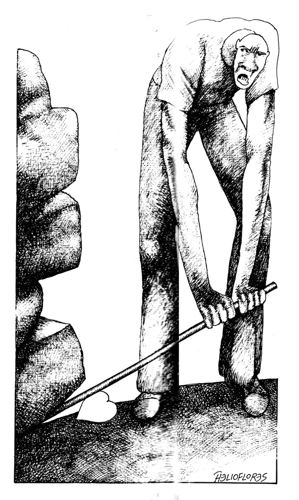 HELIOFLORES 19 de septiemble