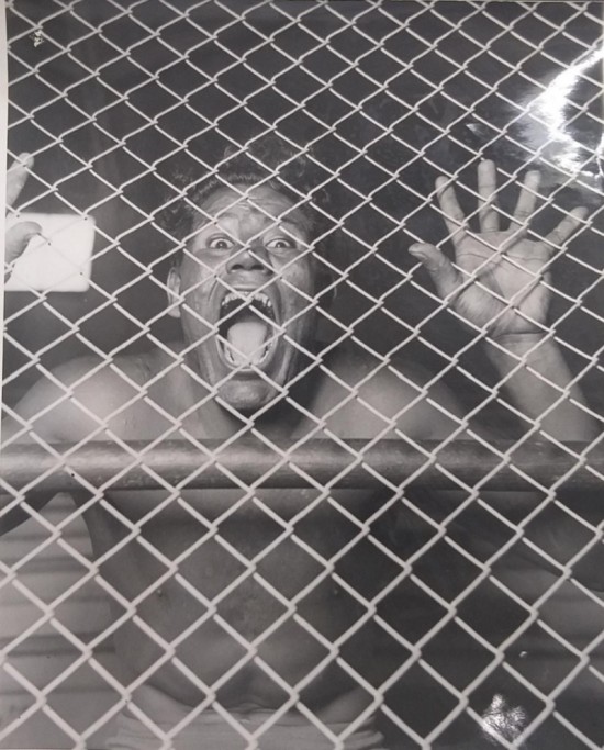 53