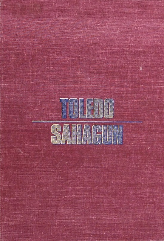 toledo sahagun