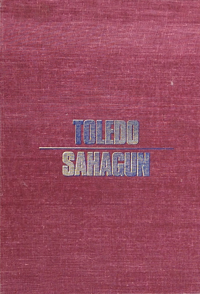 toledo sahagun