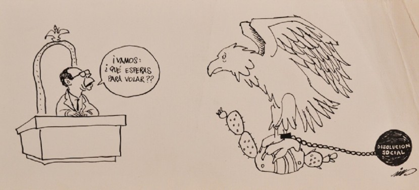 80